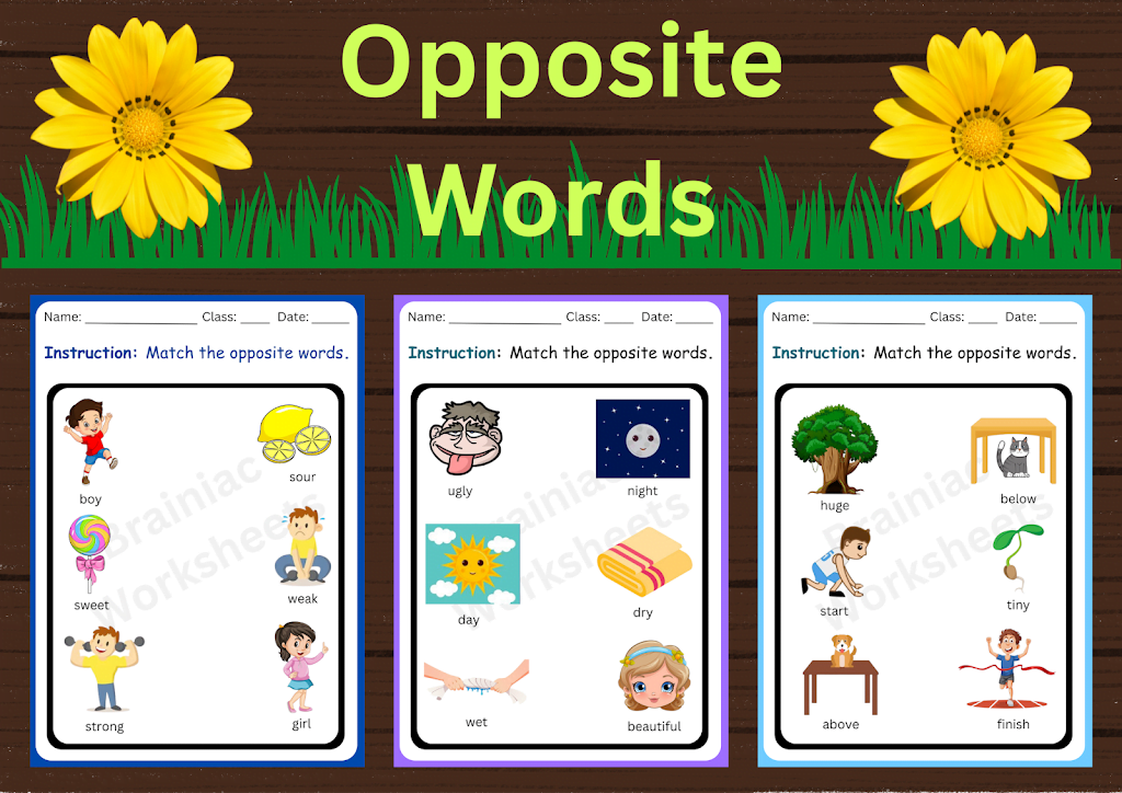ukg workbook