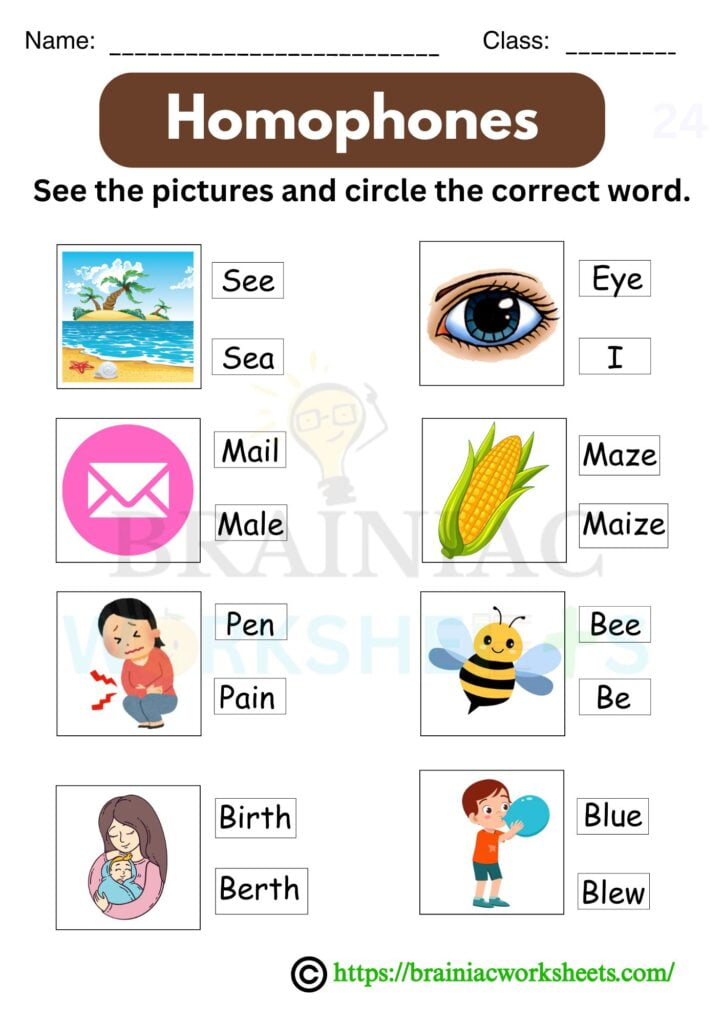 Homophones Class 2 English Worksheet - Brainiac Worksheets