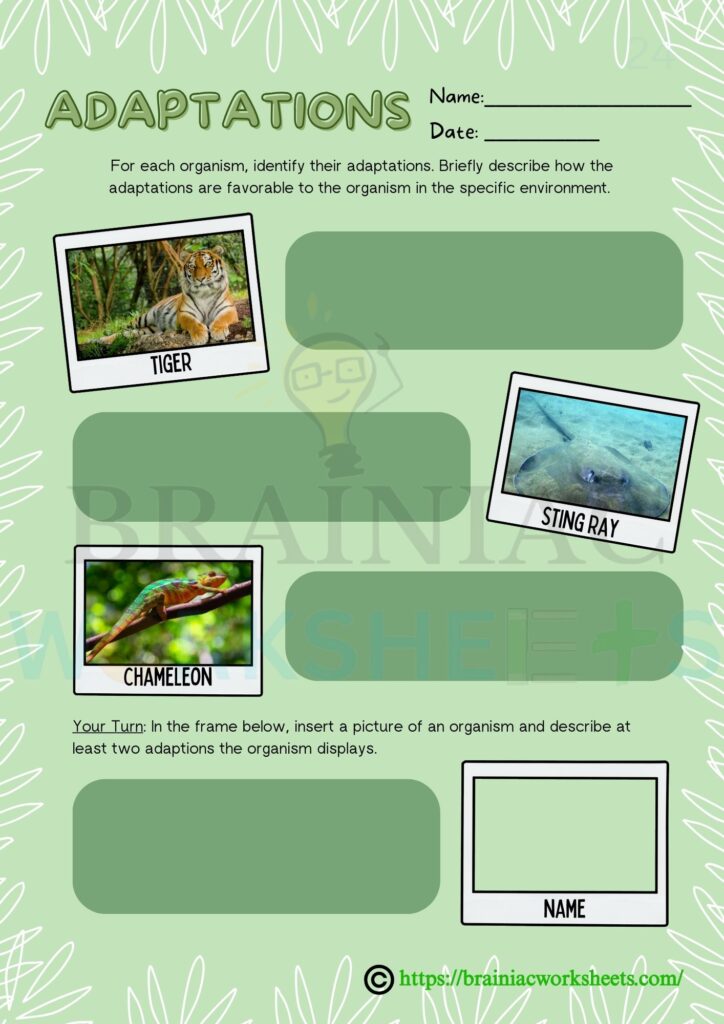 class 3 gk worksheet