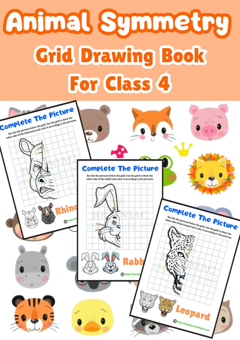 class 4 symmetry animal drawing book