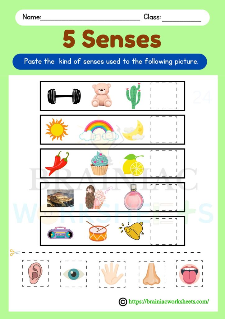 ukg science worksheet