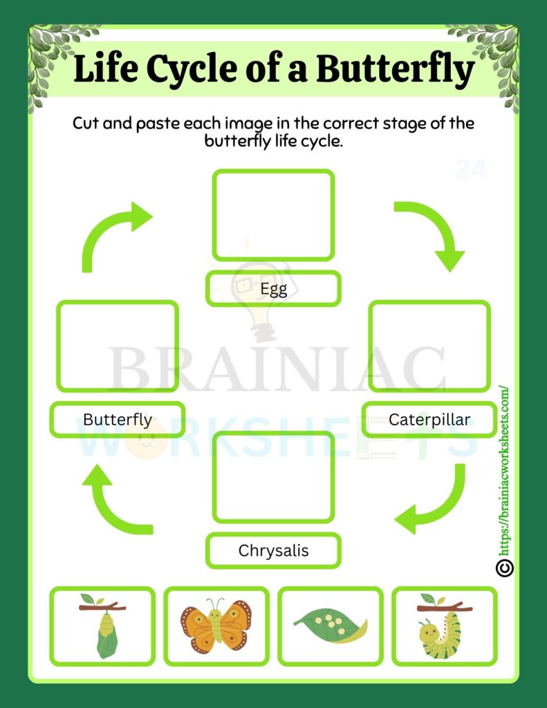 class 5 science worksheet