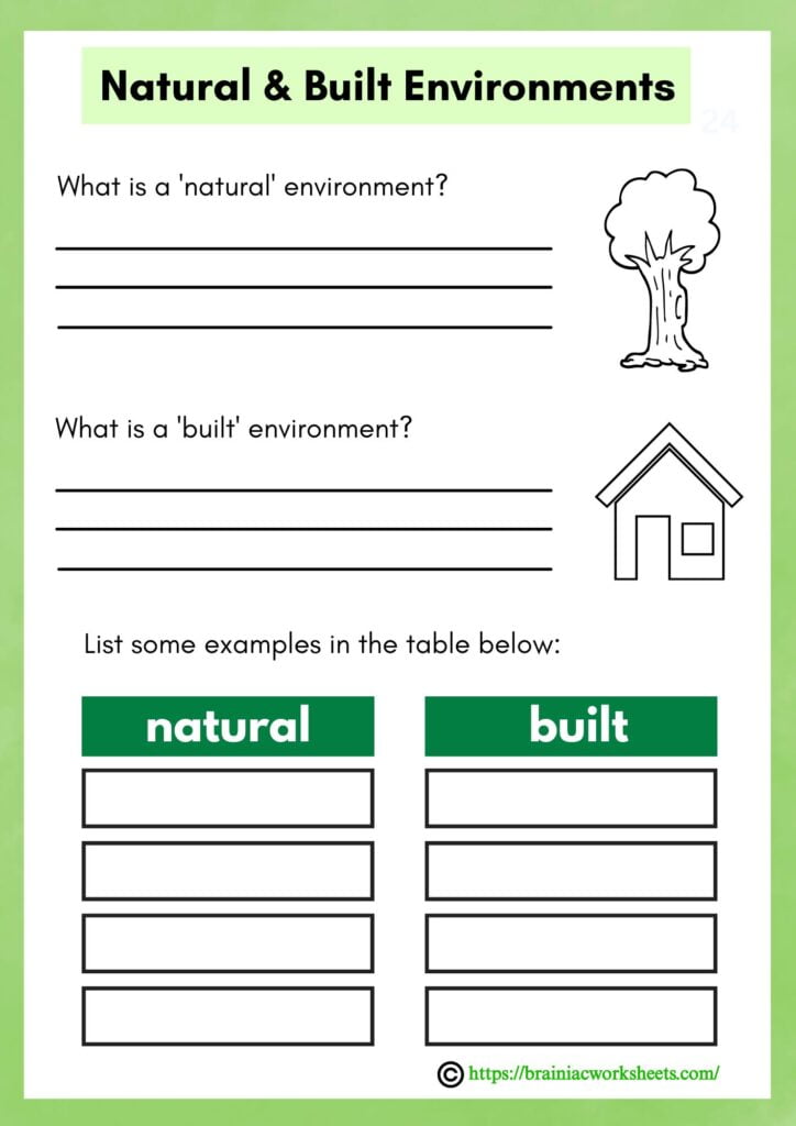 evs worksheet for class 3