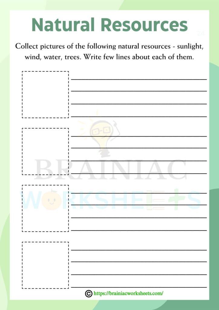 science worksheet for class 3