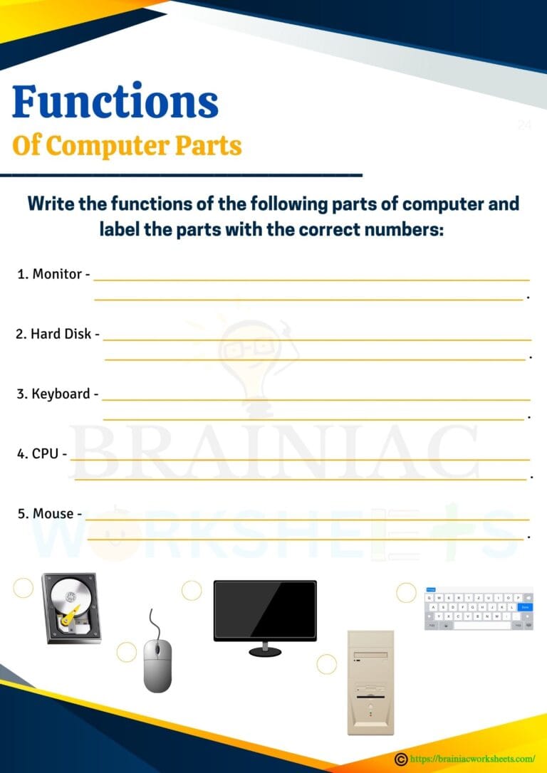 computer worksheet for class 2