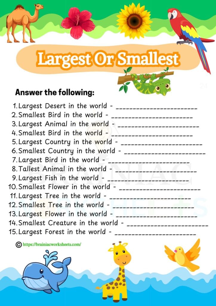 gk worksheet for class 3
