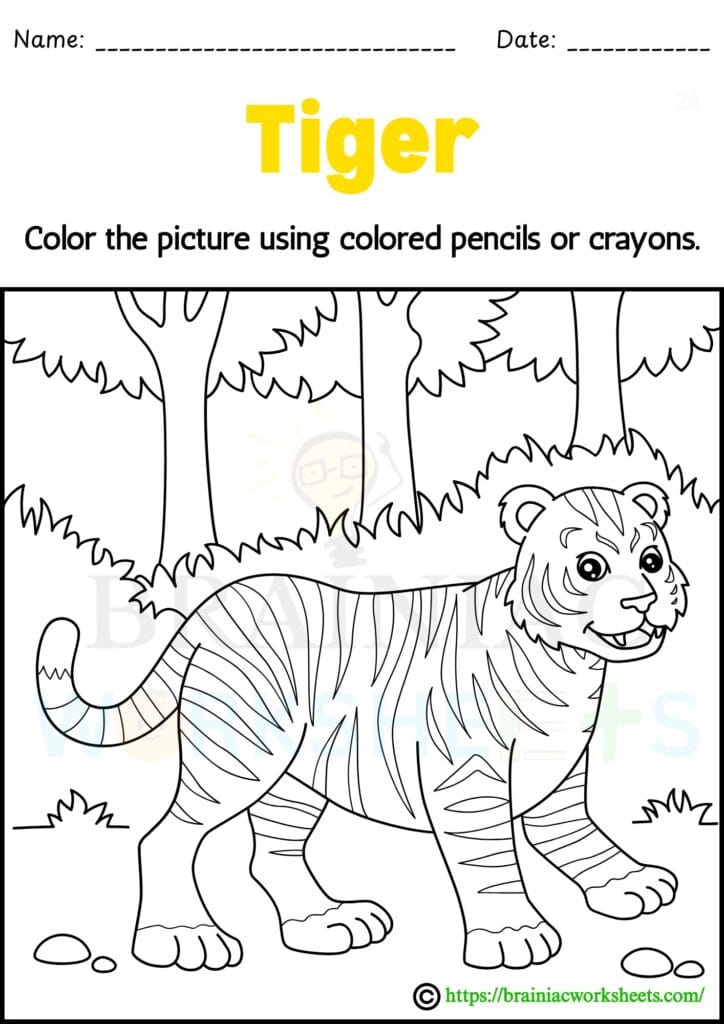 drawing worksheet for class 1