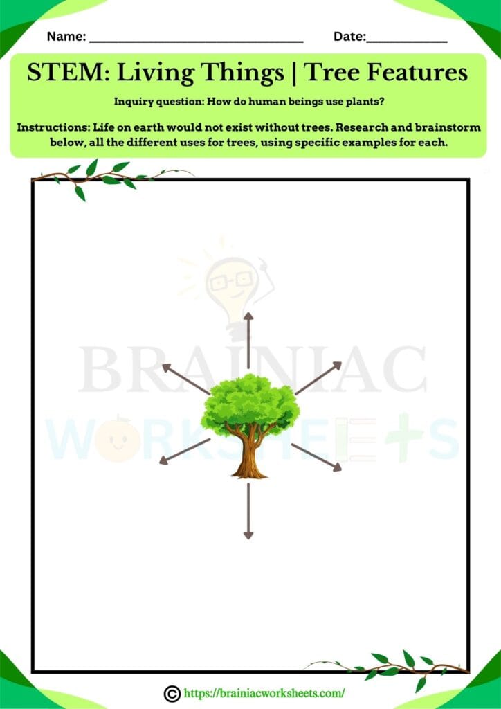 science worksheet for class 1