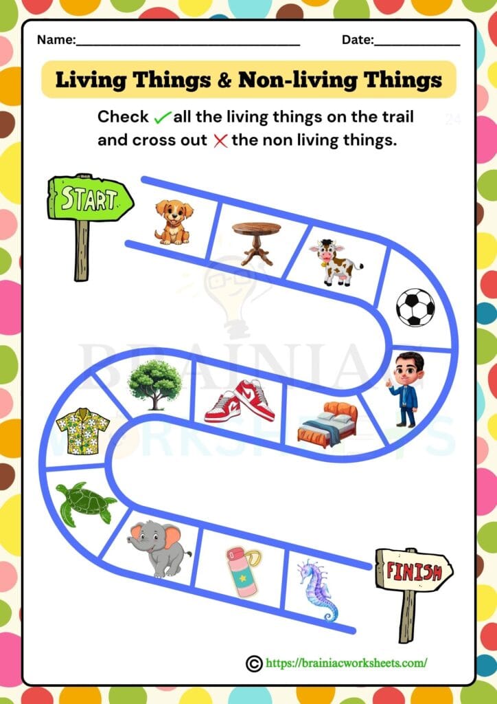 ukg science worksheet