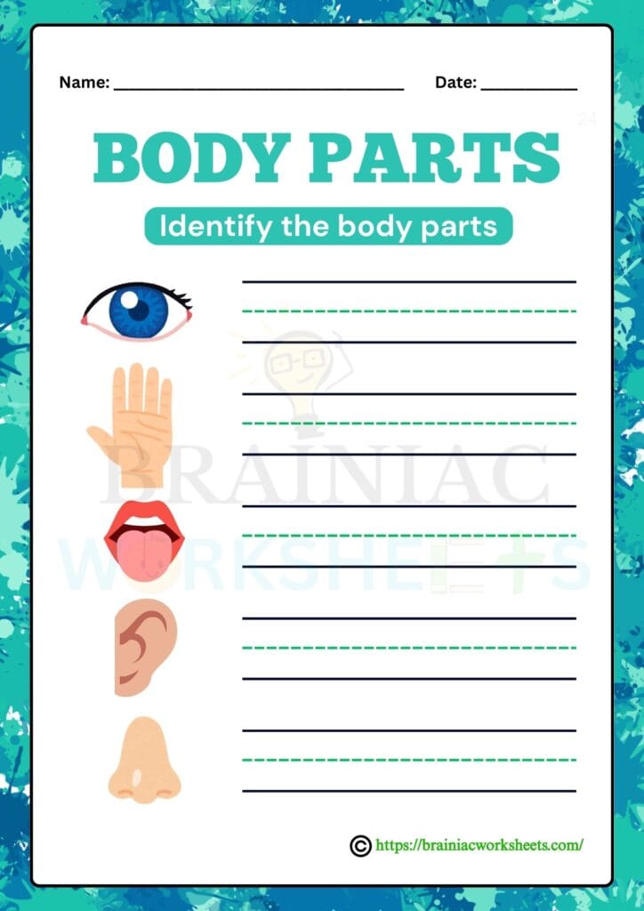 science worksheet for class 1