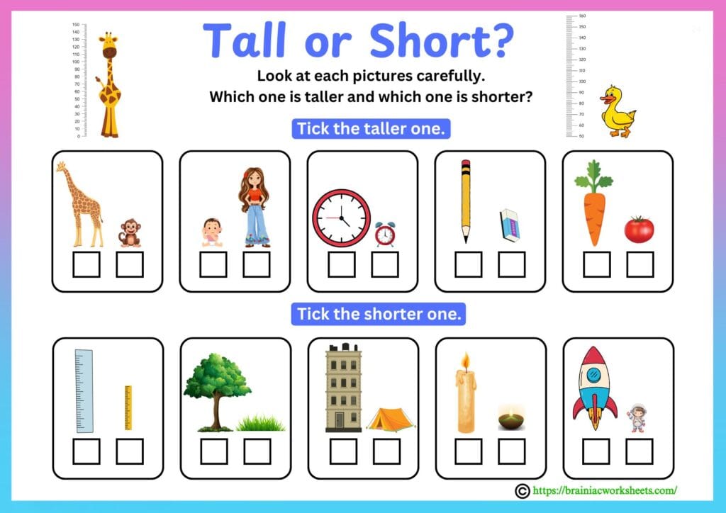 lkg maths worksheet