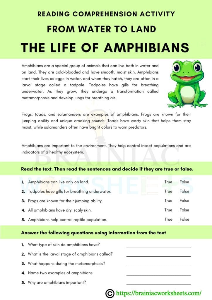 english worksheet for class 3