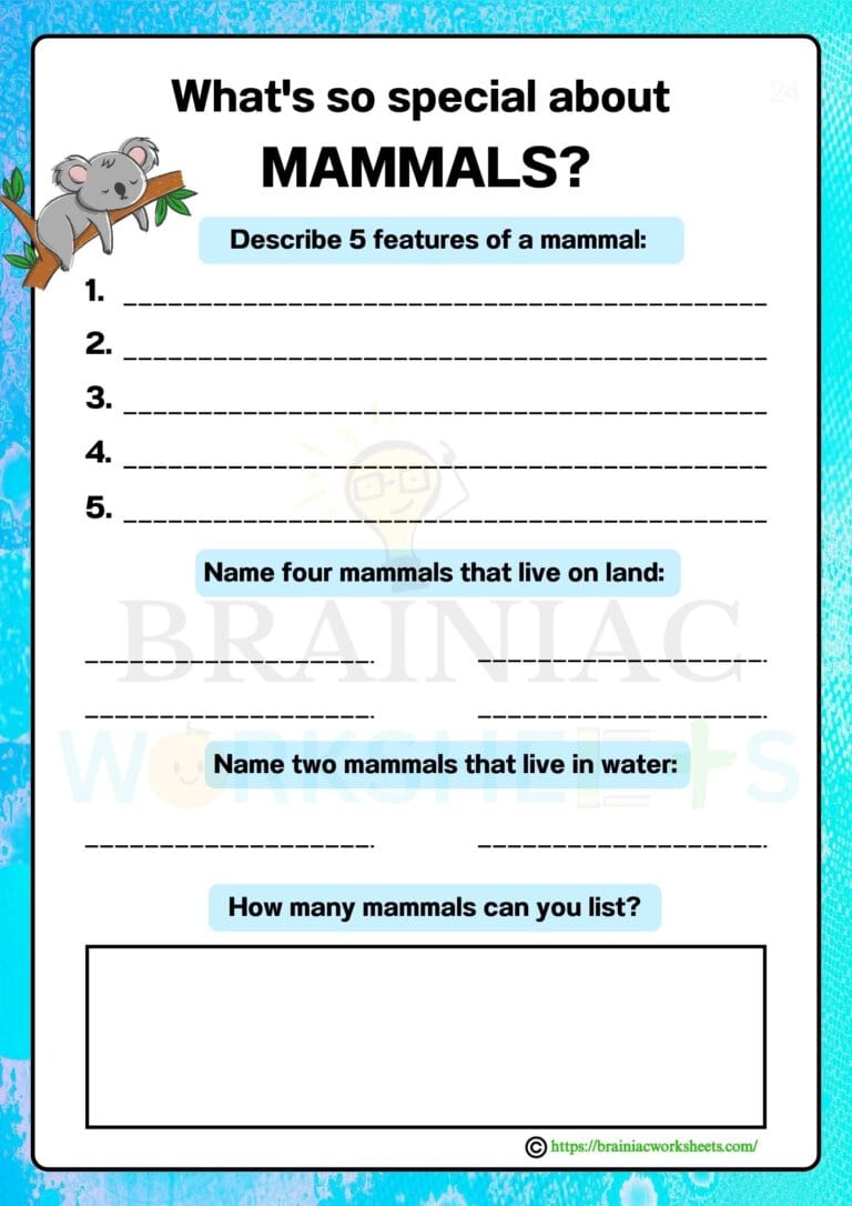 gk worksheet for class 3