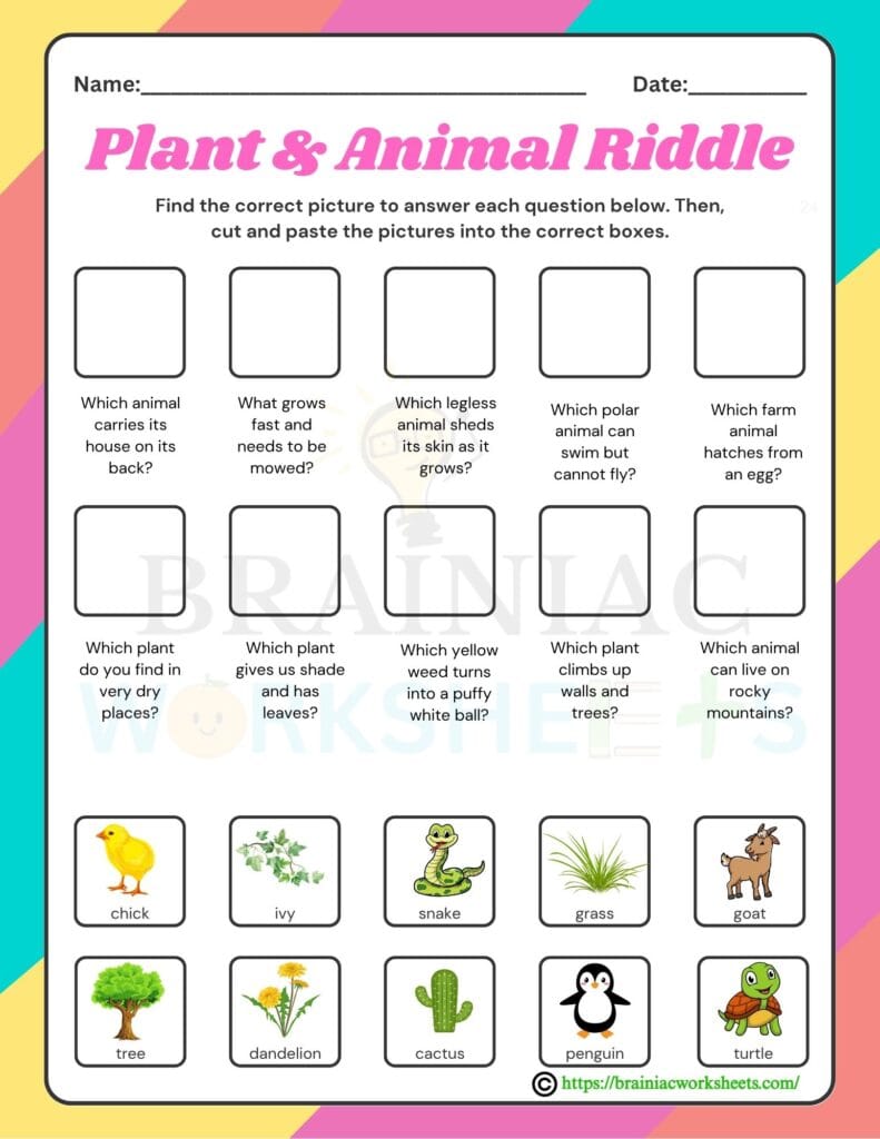 science worksheet for class 2