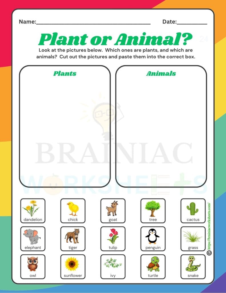ukg science worksheet