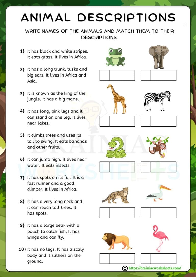 science worksheet for class 2