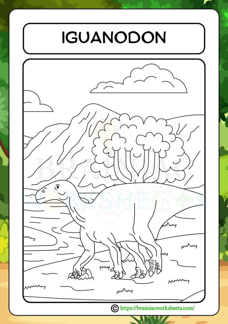 drawing worksheet for class 3