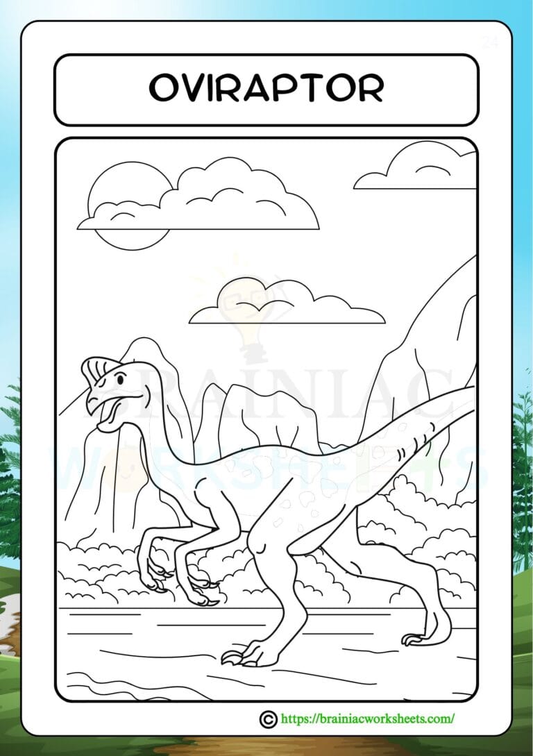 drawing worksheet for class 3