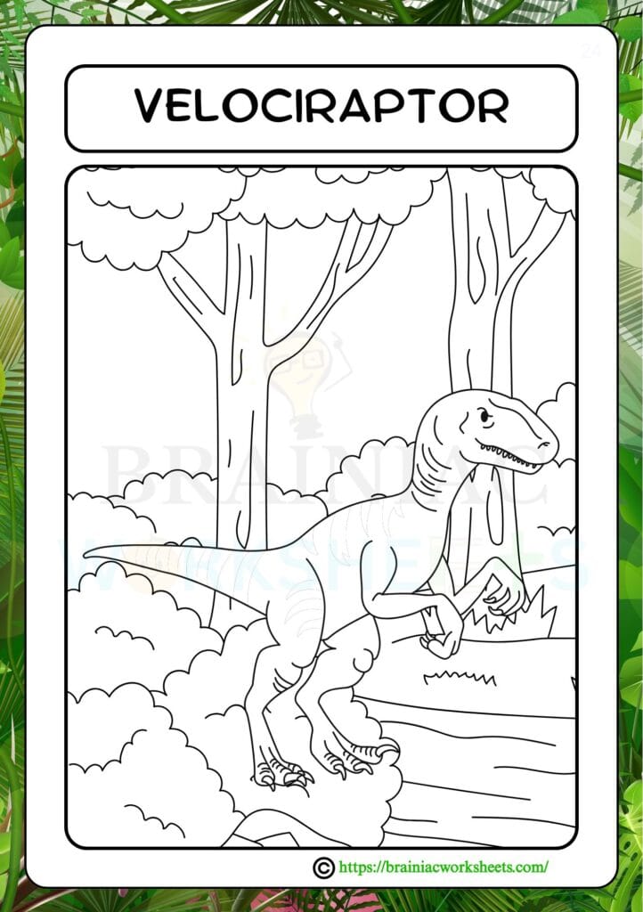 drawing worksheet for class 3
