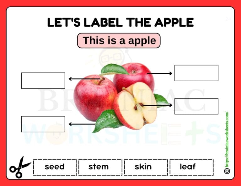 science worksheet for class 1