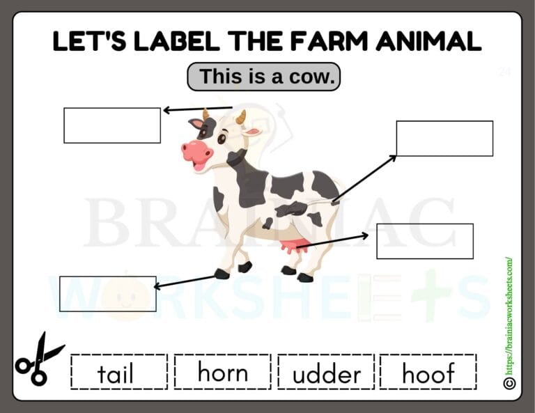 science worksheet for class 1