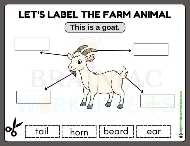 science worksheet for class 1