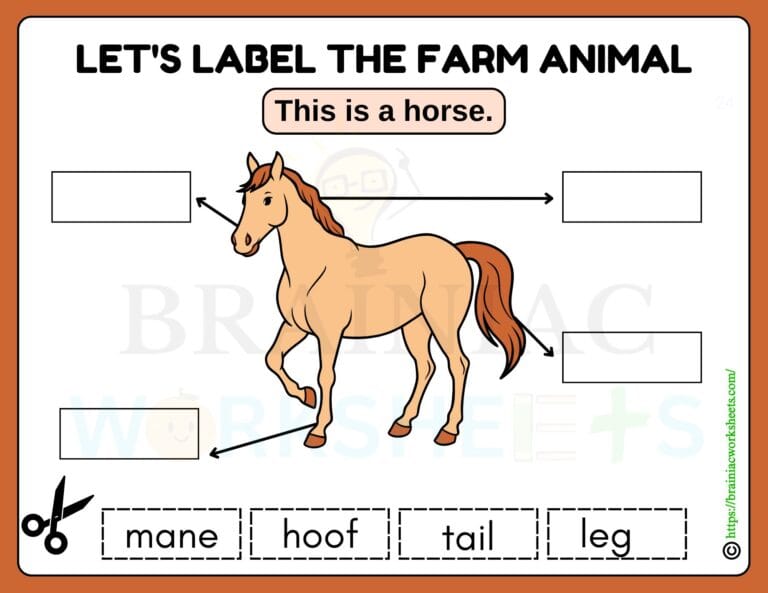 science worksheet for class 1