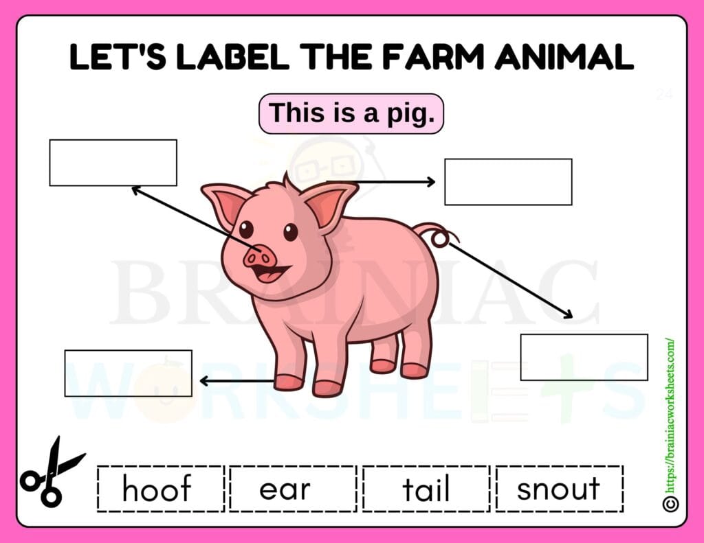 science worksheet for class 1