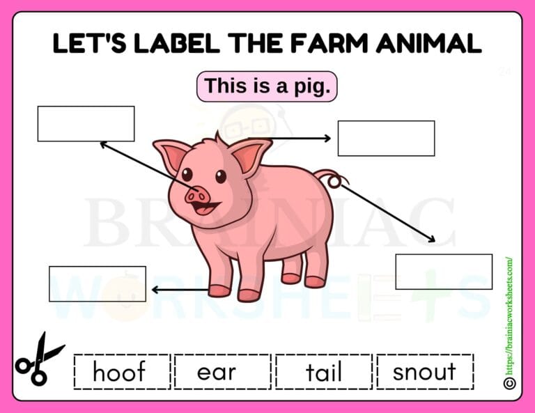 science worksheet for class 1