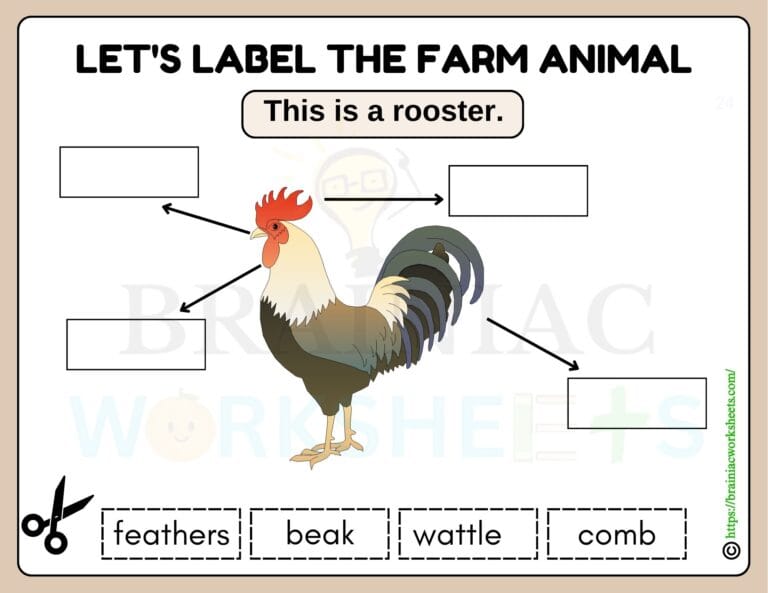 science worksheet for class 1