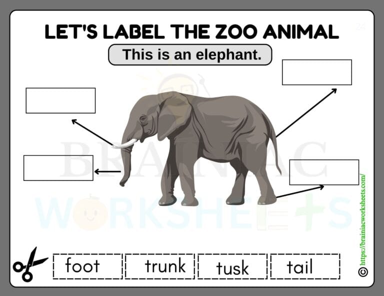 science worksheet for class 1