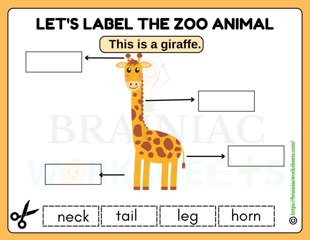 science worksheet for class 1