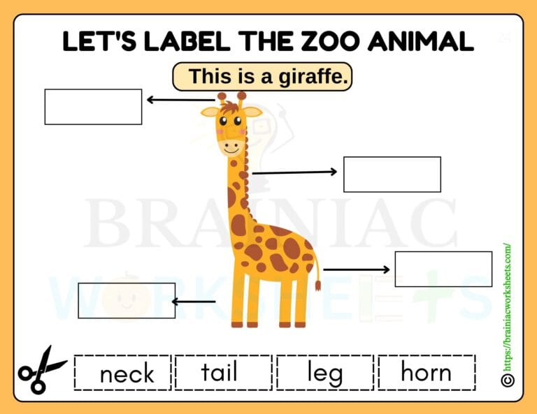 science worksheet for class 1