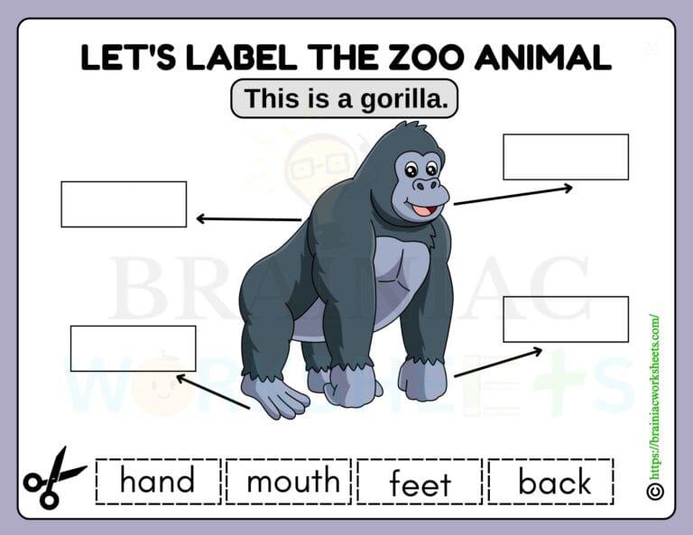 science worksheet for class 1