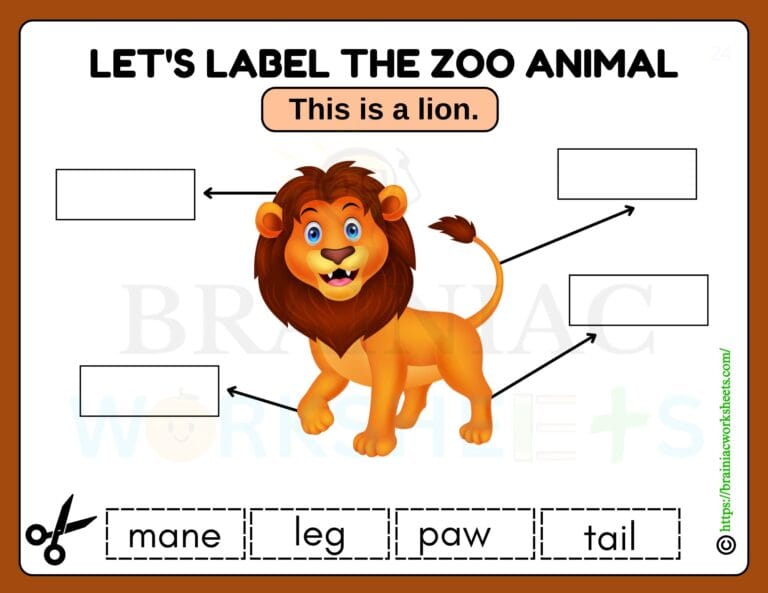 science worksheet for class 1