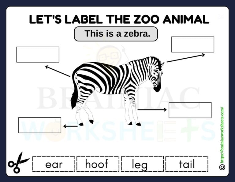 science worksheet for class 1