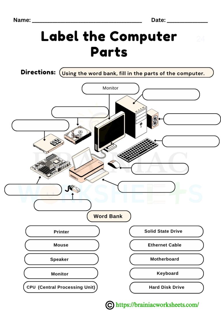 computer worksheet for class 2
