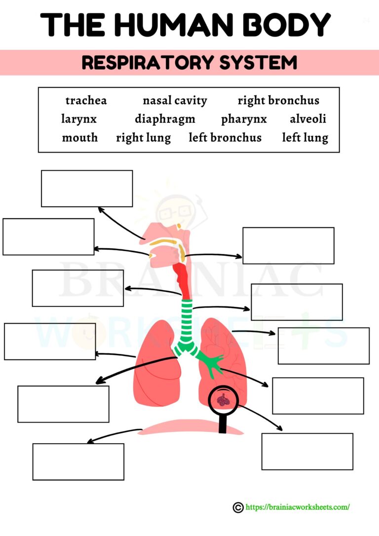 science worksheet for class 5