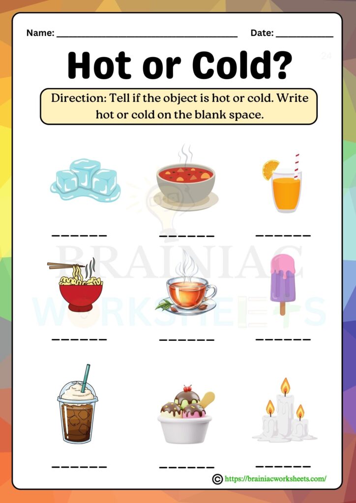 ukg science worksheet